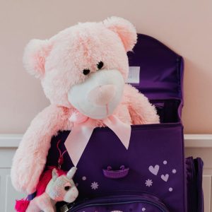 Pink Teddy Bear