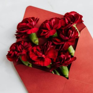Red Rose