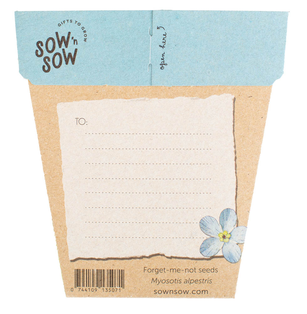 Gift of Seeds - Forget-me-not - Image 2