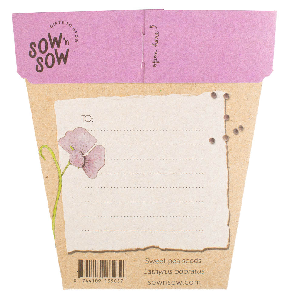 Gift of Seeds - Sweet Pea - Image 2