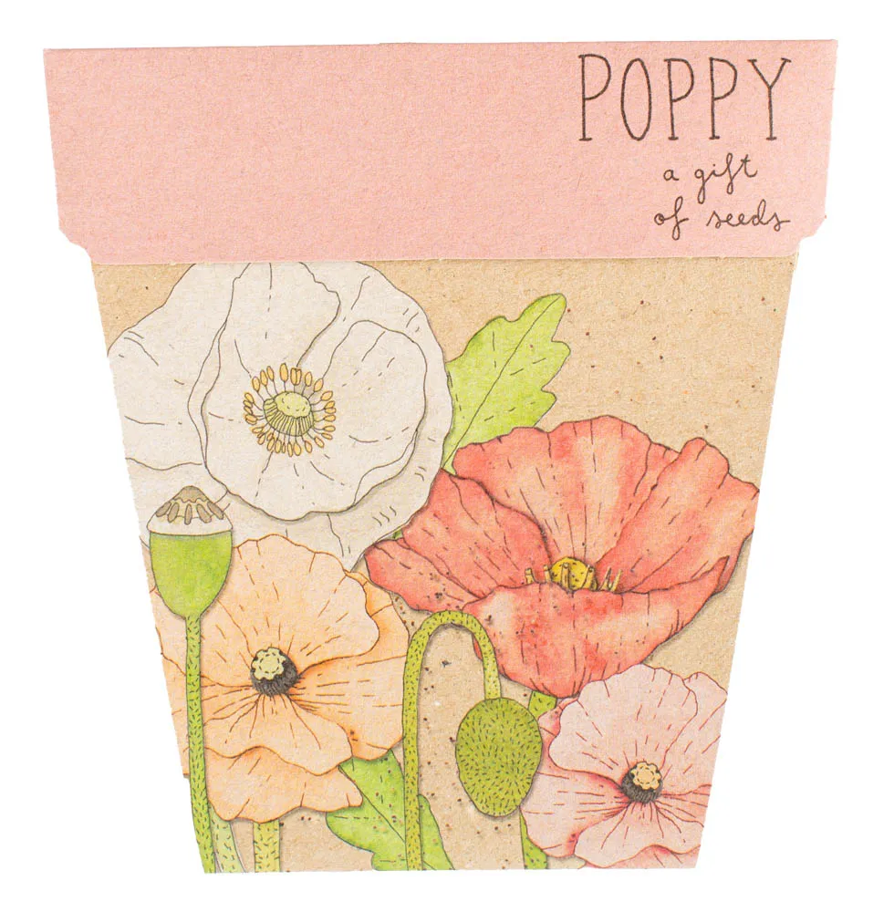 Gift of Seeds - Poppy