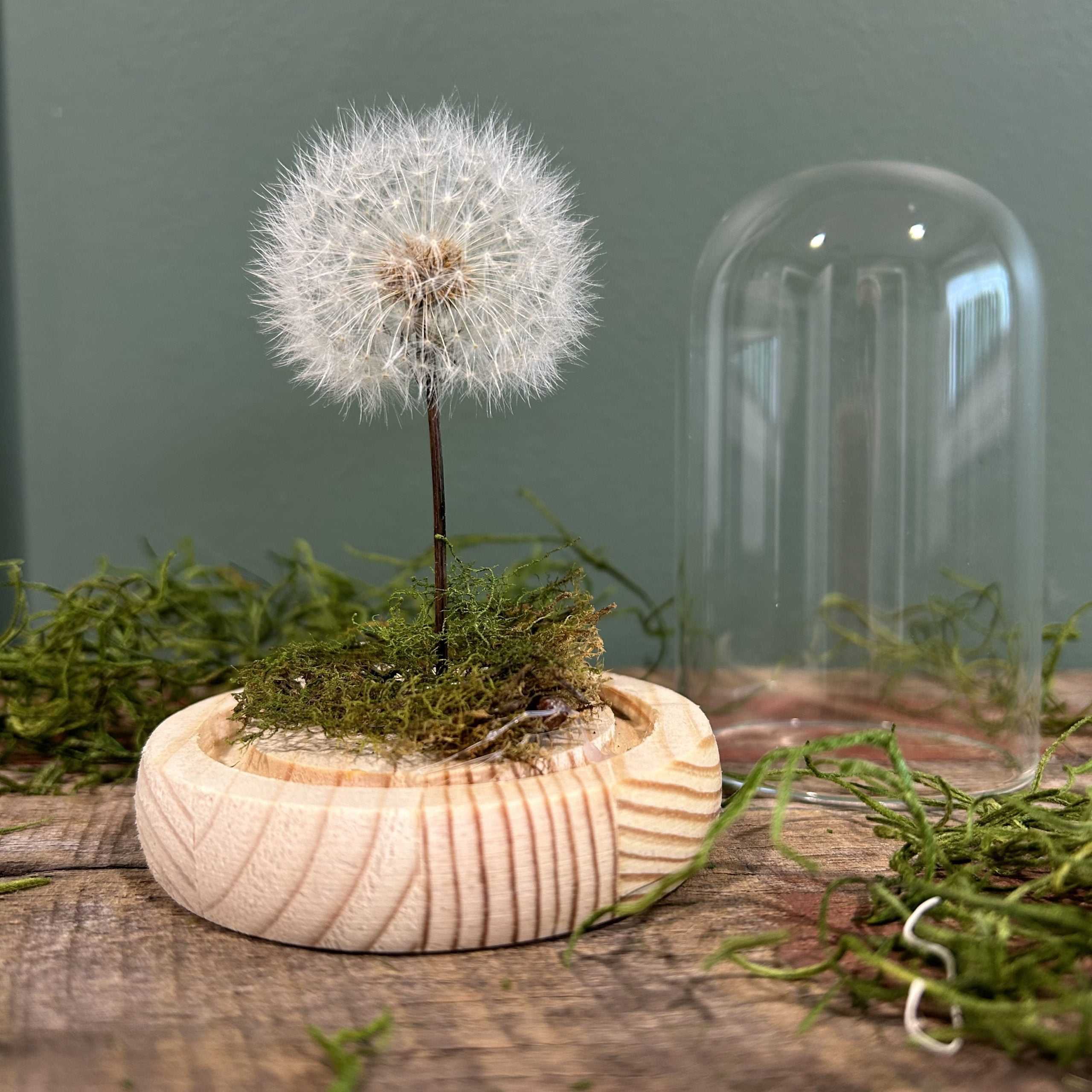 Wishing Jar