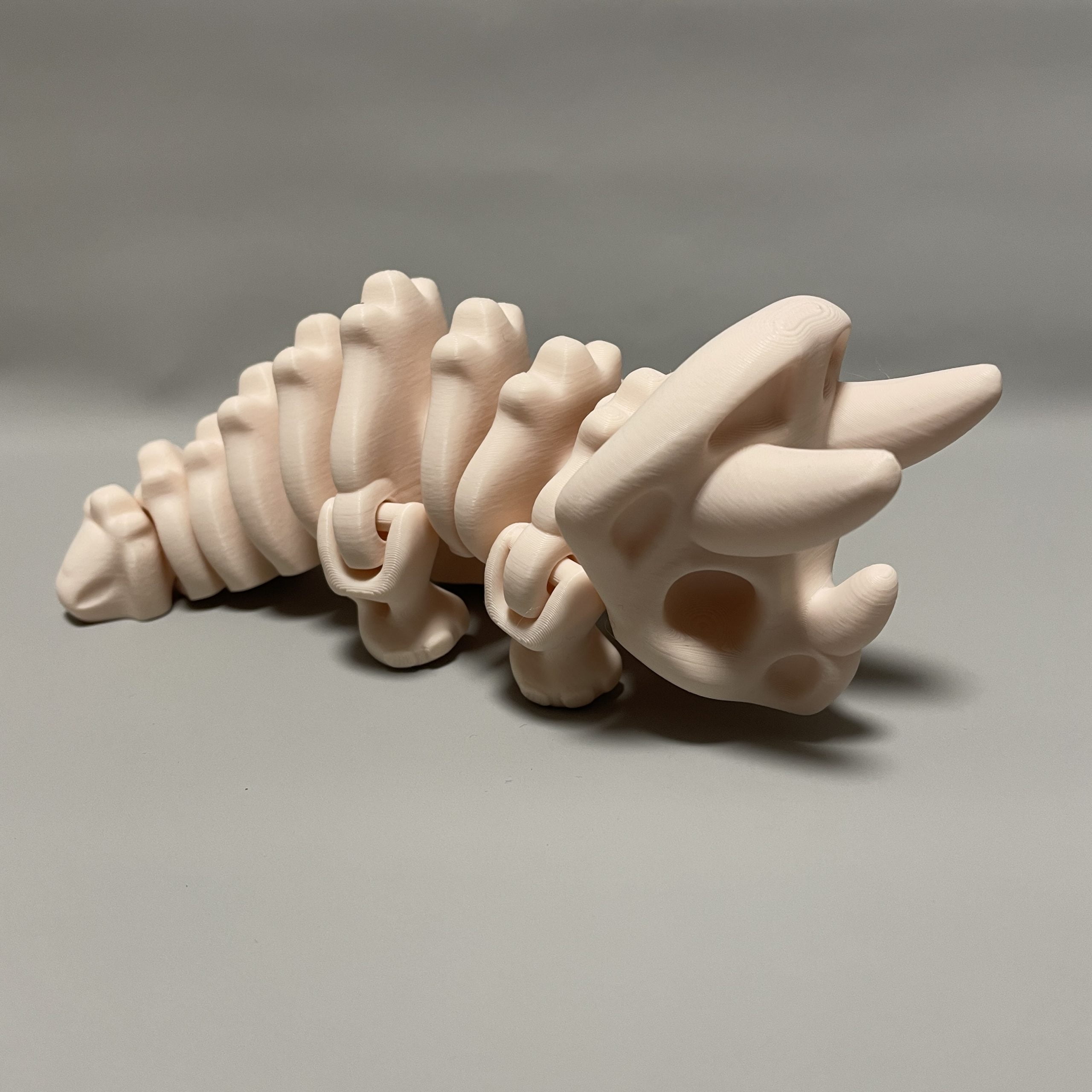 Skeletal Triceratops