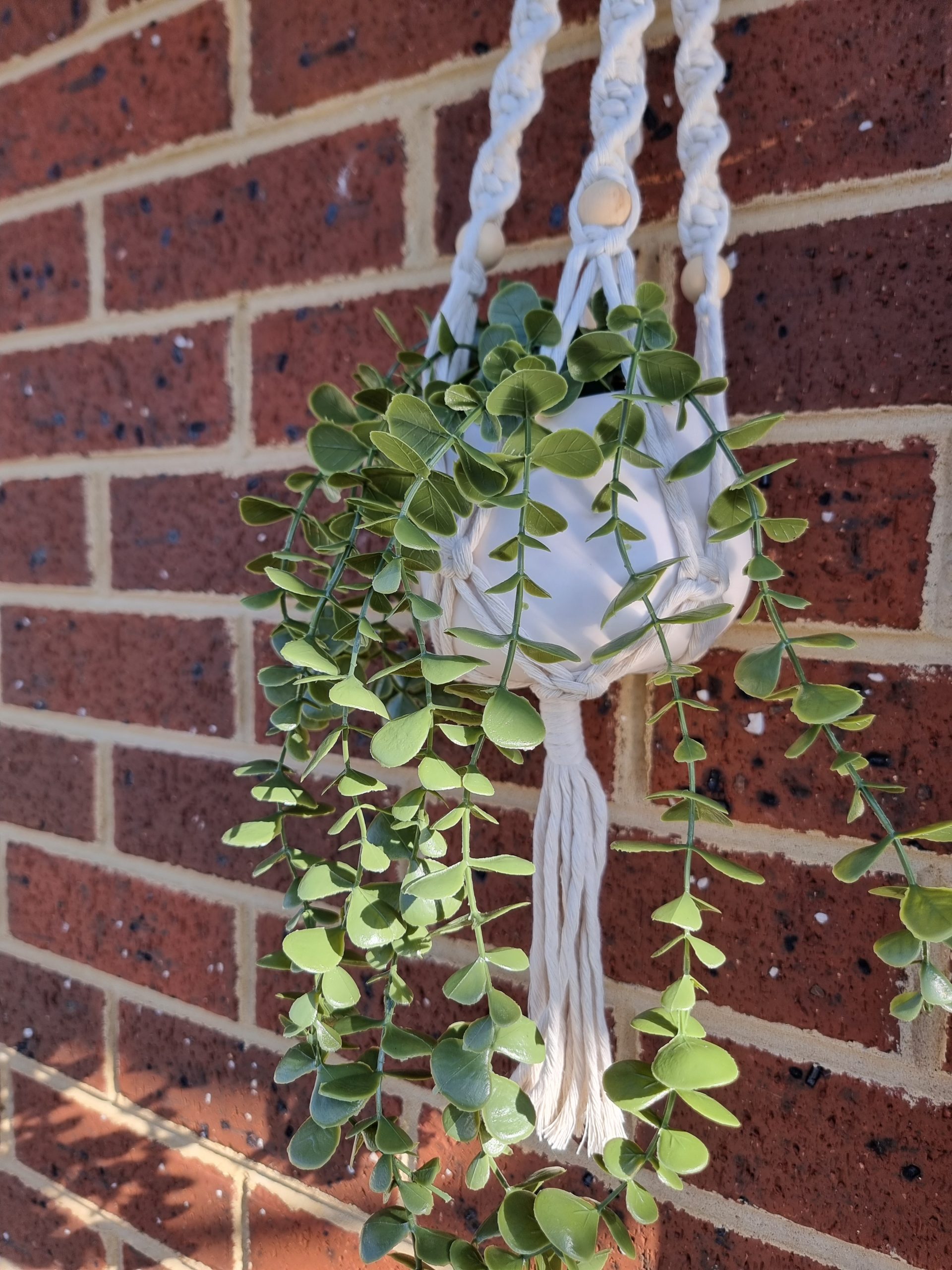 Macrame Plant Hanger