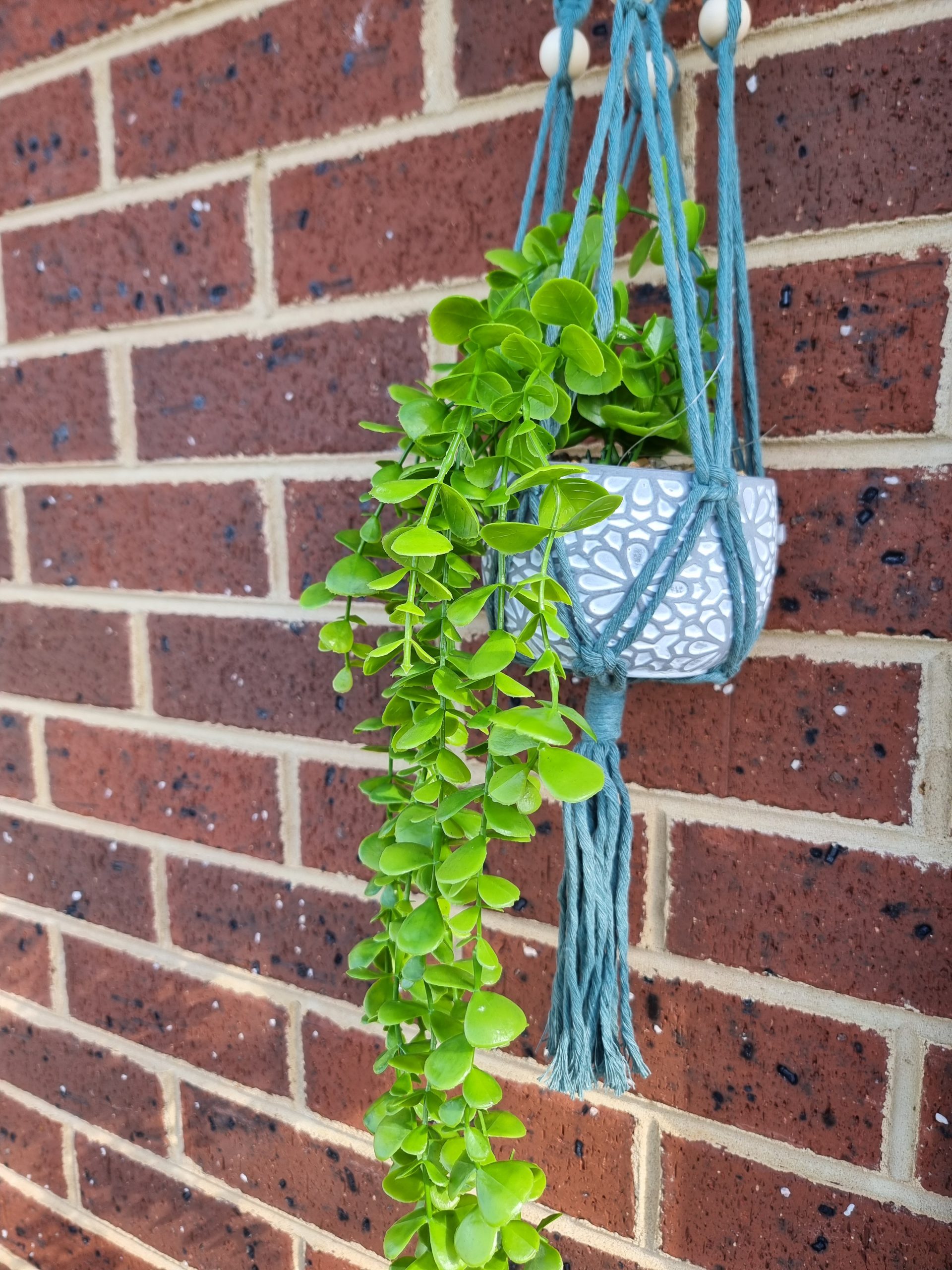 Macrame Plant Hanger - Image 2