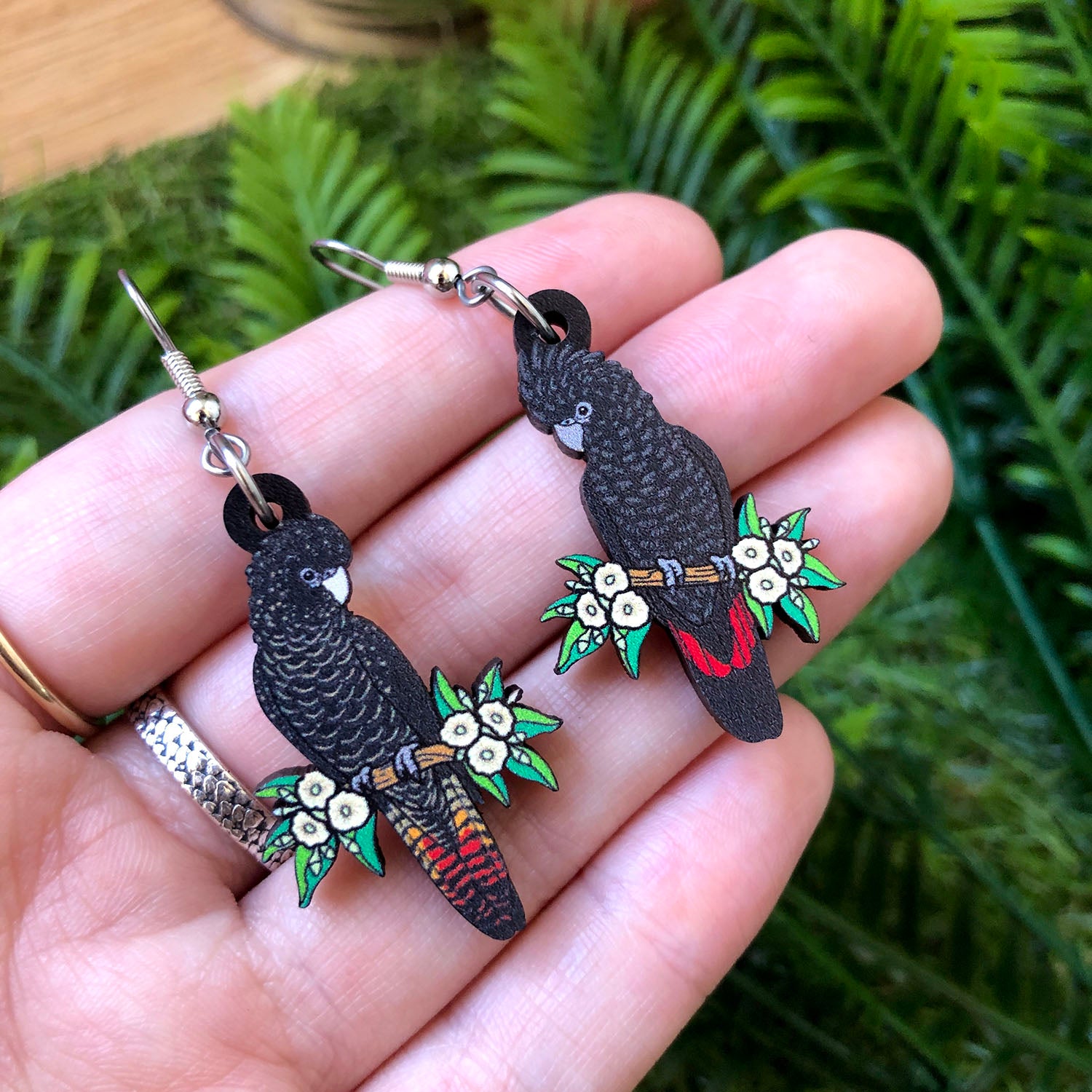 Red-tailed Black Cockatoo Earrings