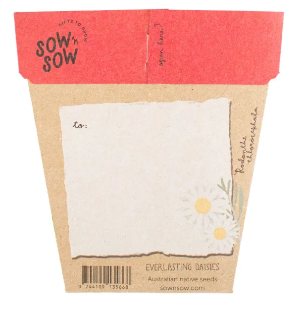 Gift of Seeds - Australian Christmas - Image 2