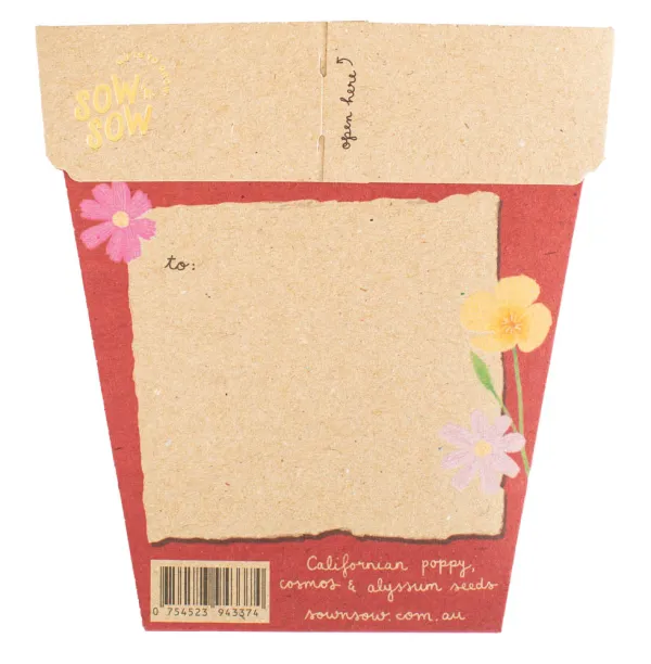 Gift of Seeds - Christmas Wildflowers - Image 2