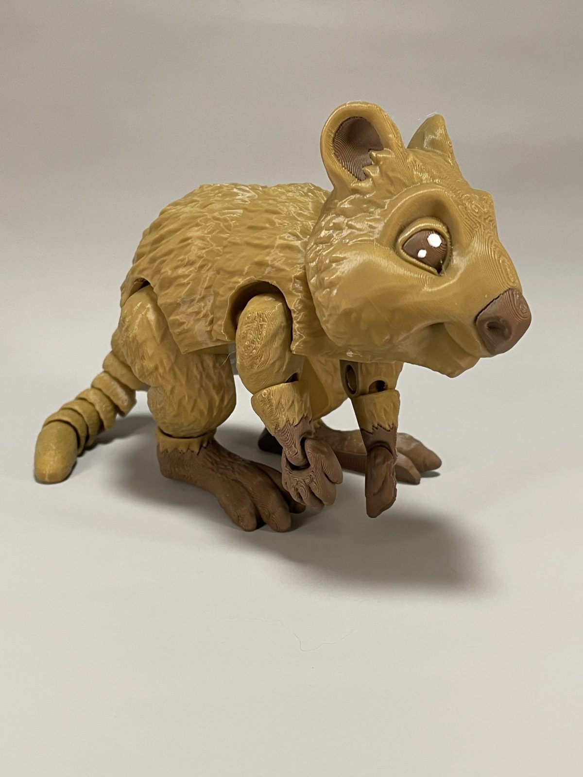 Quokka Flexi - Image 3