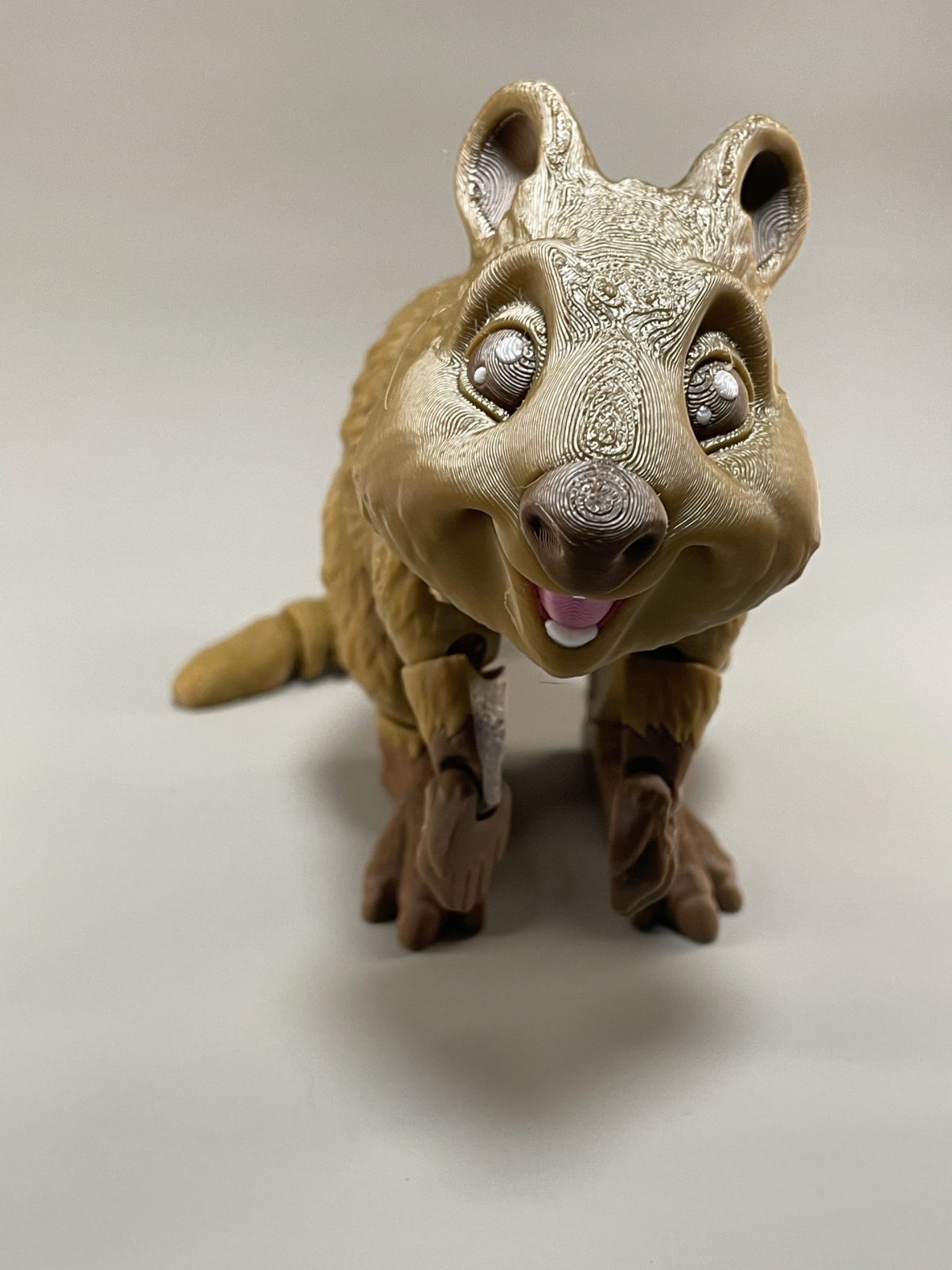 Quokka Flexi - Image 4