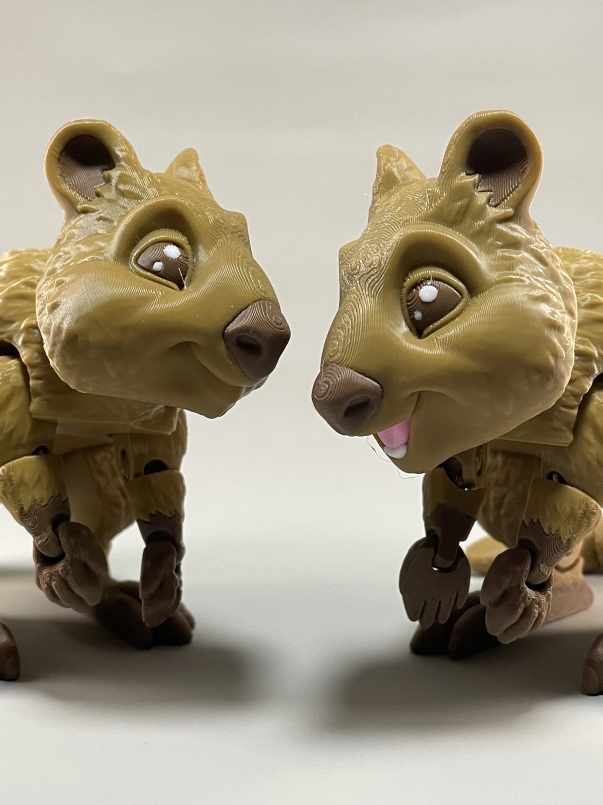 Quokka Flexi - Image 6