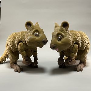 Quokka Flexi