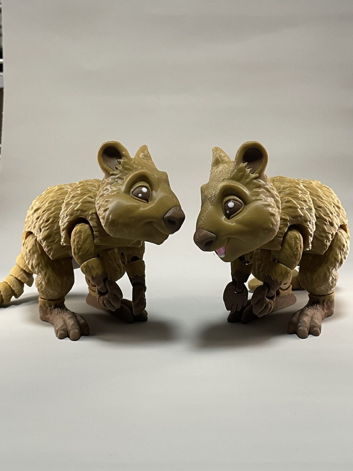 Quokka Flexi