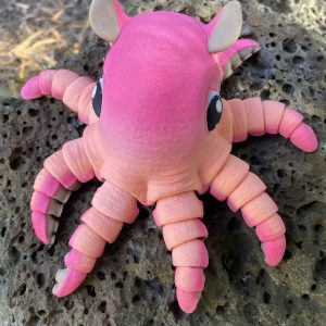 Flapjack Octopus