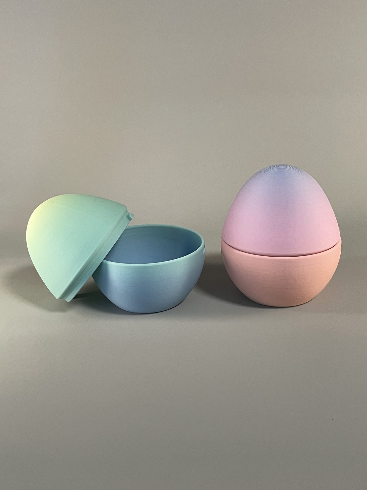 Egg Capsule - Image 2
