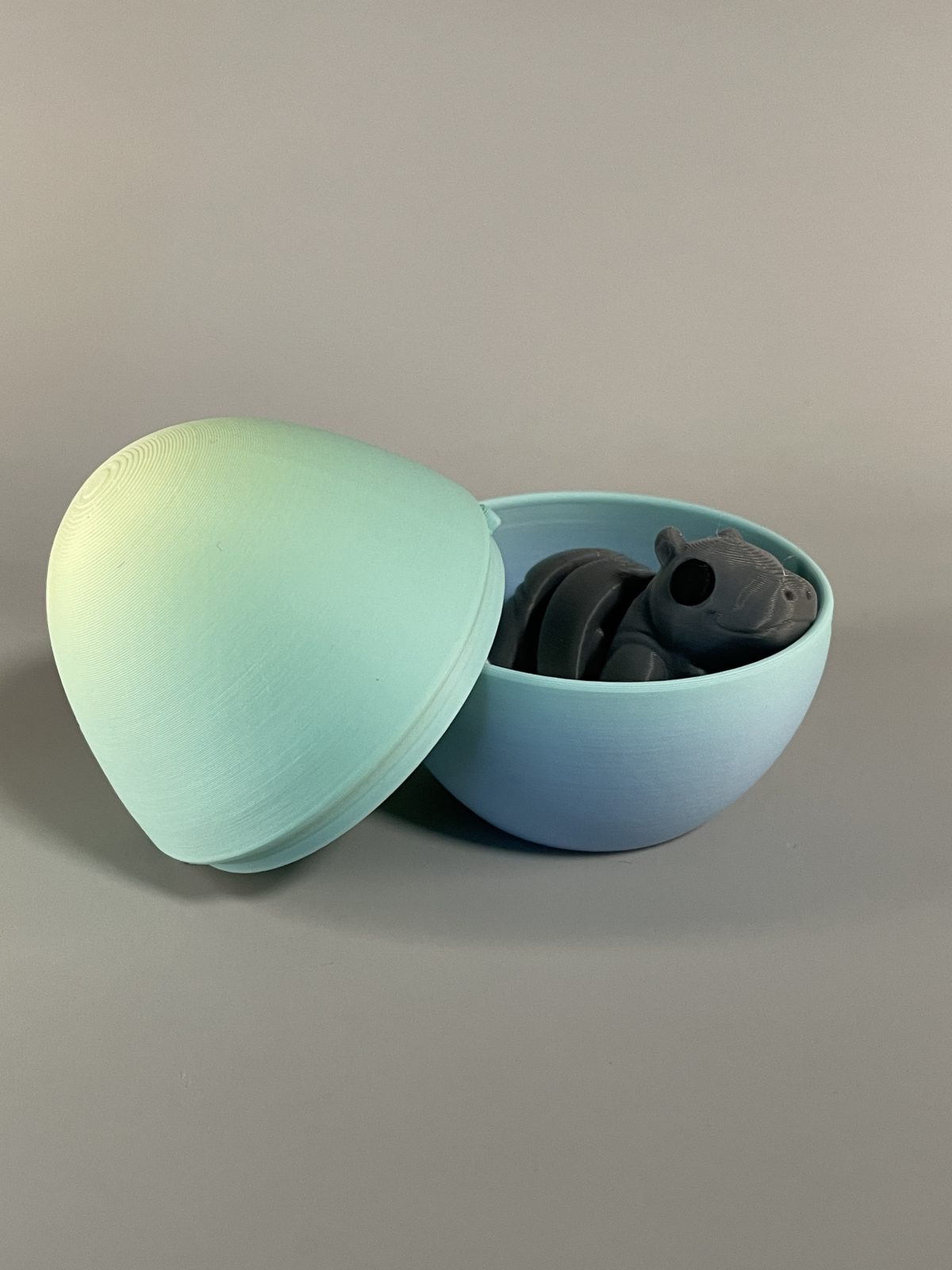 Egg Capsule - Image 3