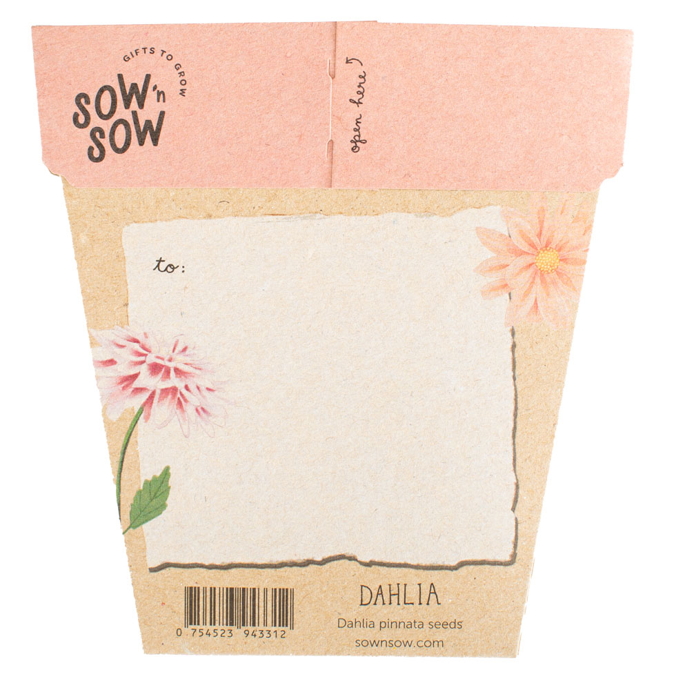Gift of Seeds - Dahlia - Image 2