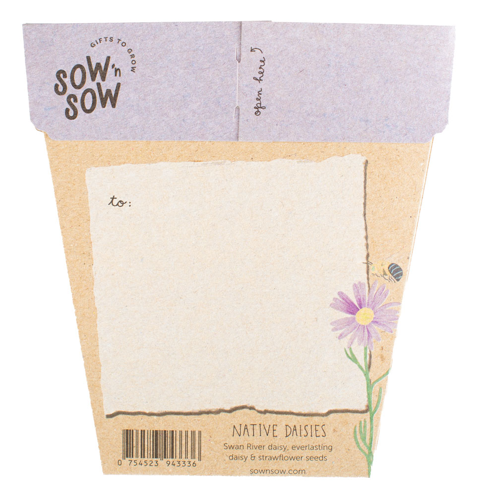 Gift of Seeds - Native Daisies - Image 2
