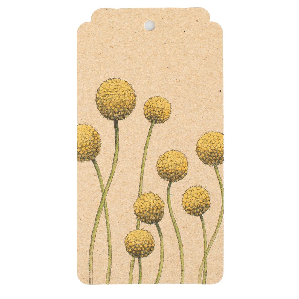 Billy Buttons Gift Tag