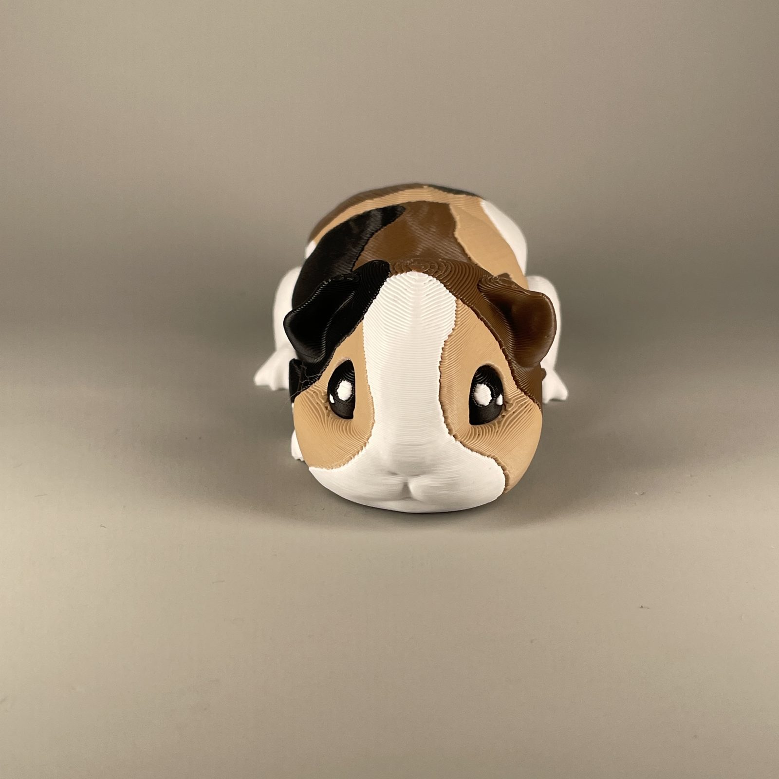 Guinea Pig Flexi - Image 2