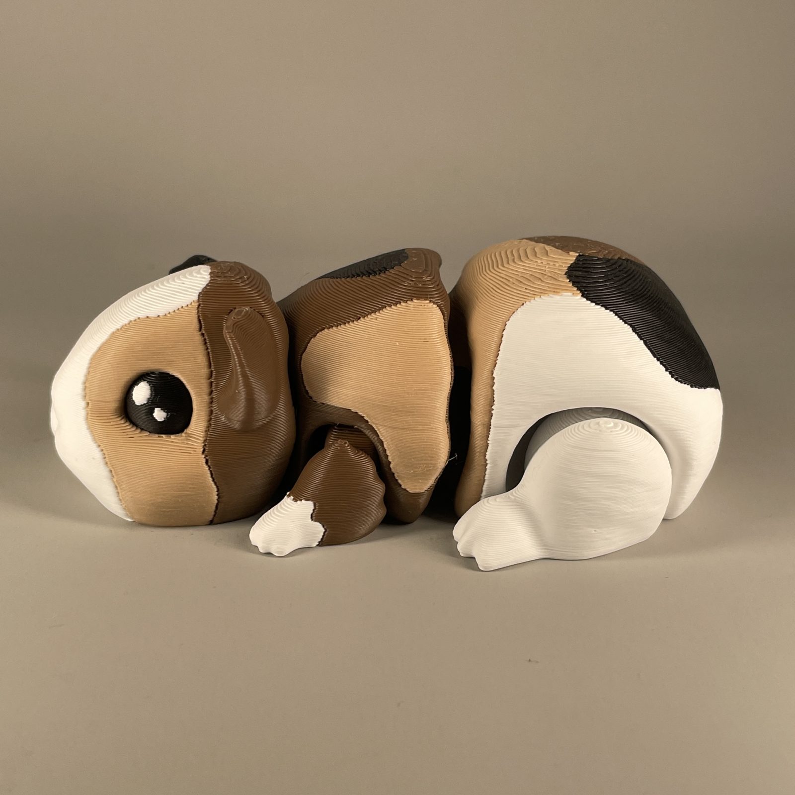 Guinea Pig Flexi - Image 3