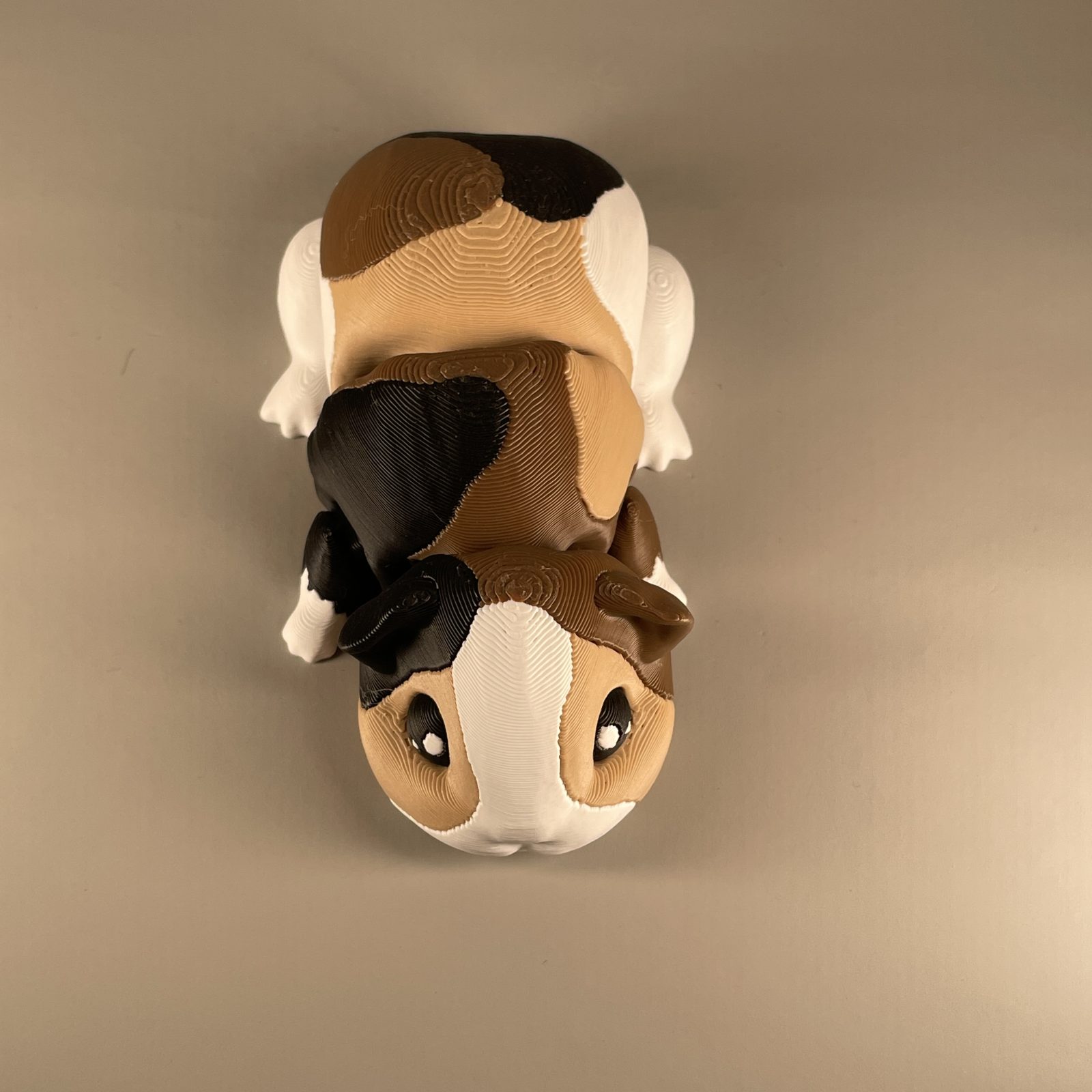 Guinea Pig Flexi - Image 4