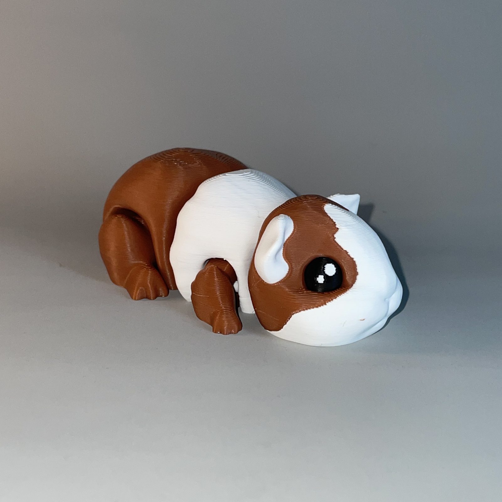 Guinea Pig Flexi - Image 6