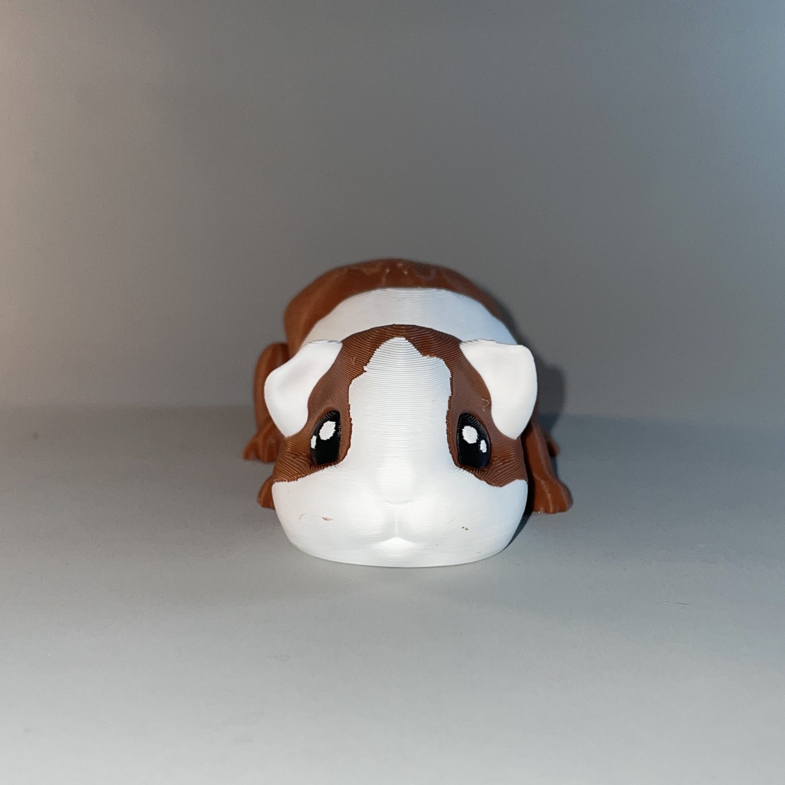 Guinea Pig Flexi - Image 5