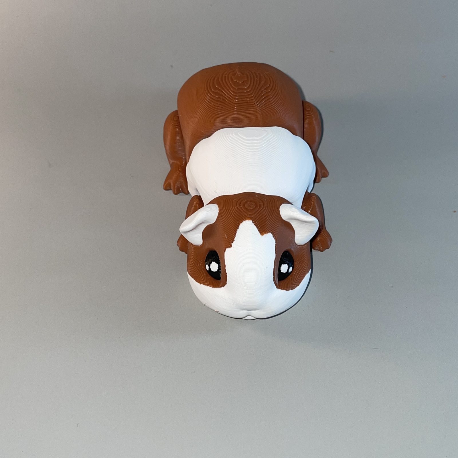 Guinea Pig Flexi - Image 7