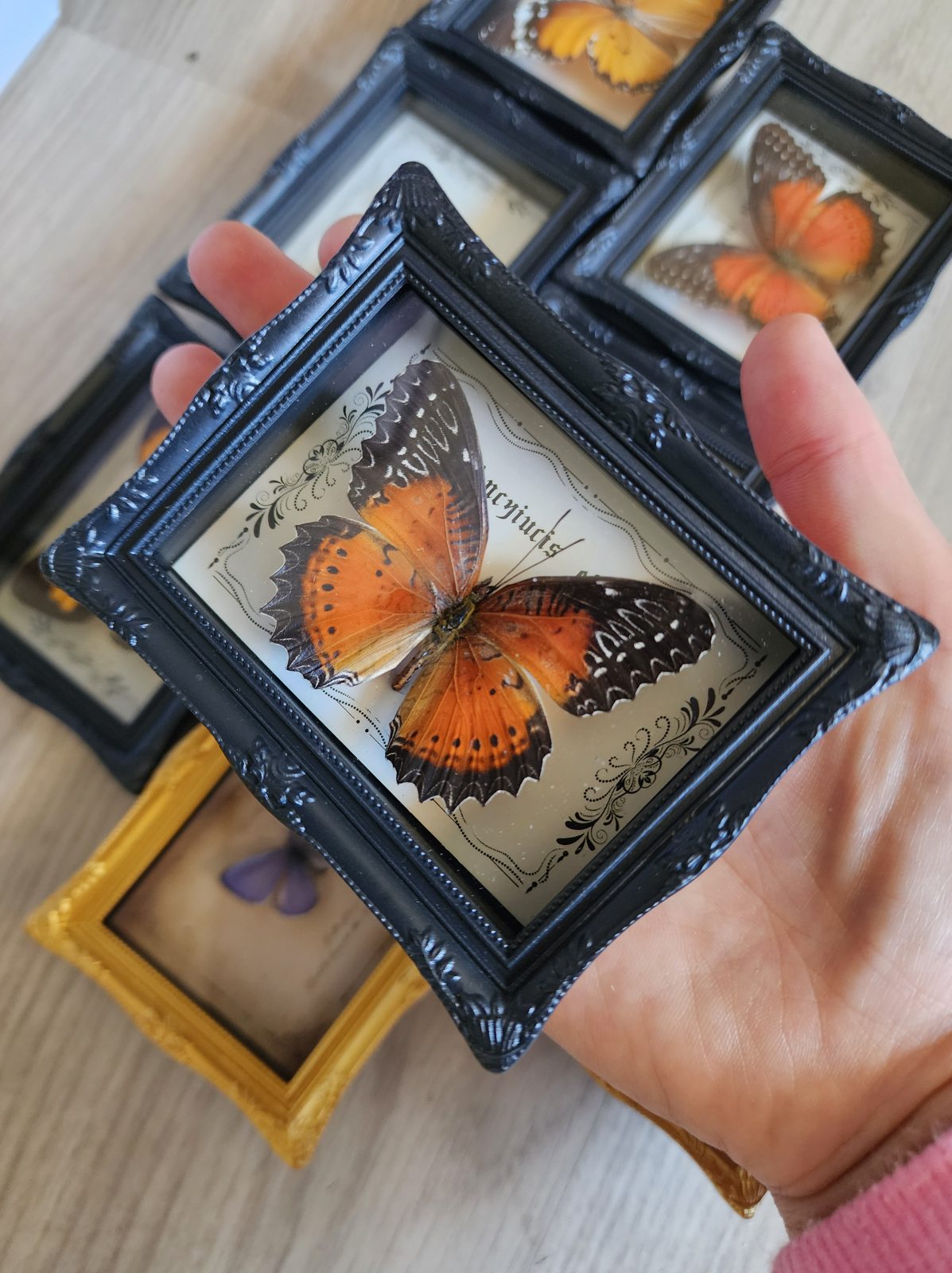 Fridge Magnet Framed Butterfly - Image 6