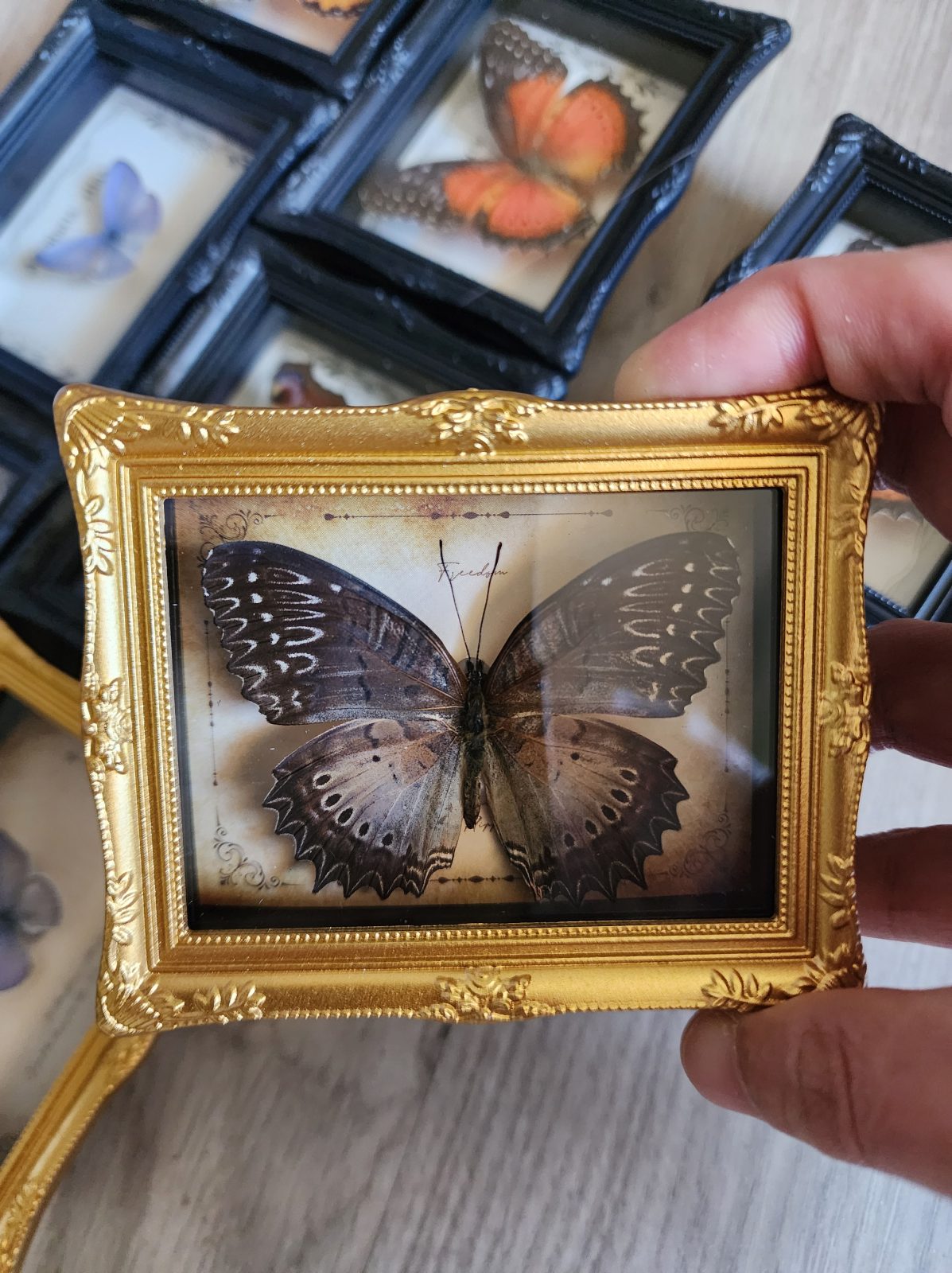 Fridge Magnet Framed Butterfly - Image 7