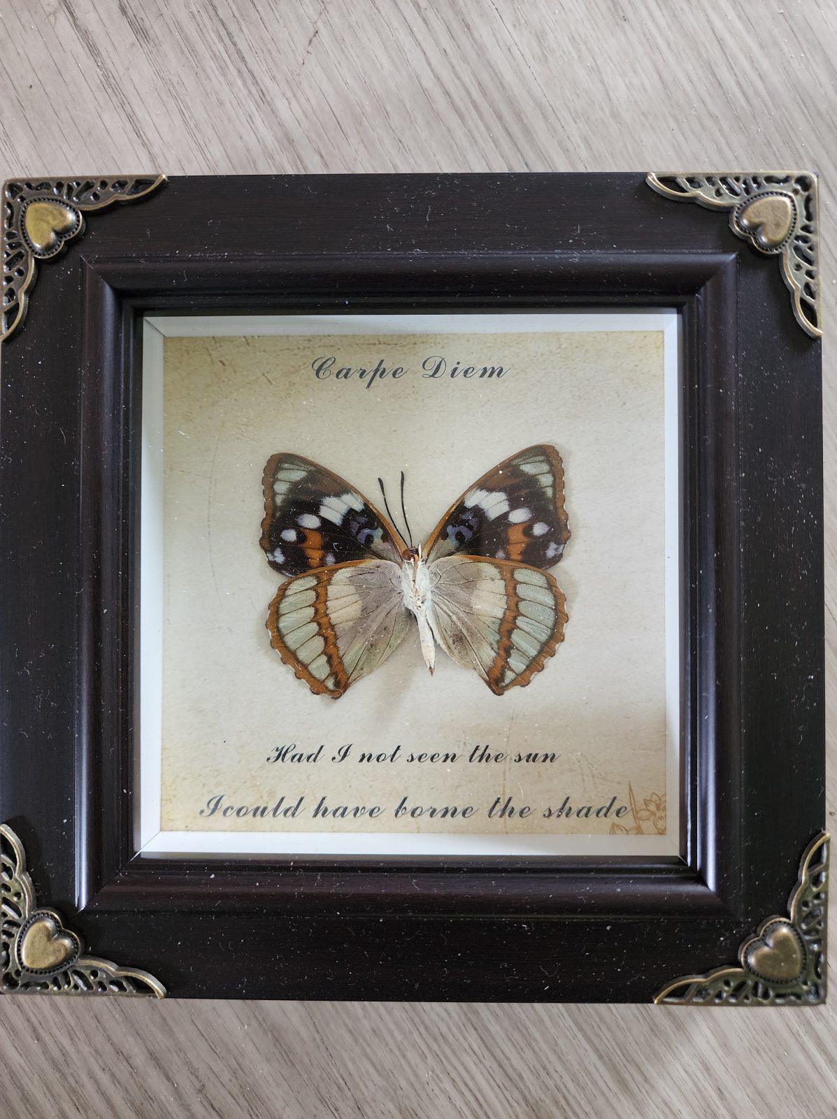 Mystery Steampunk Framed Butterfly - Image 10