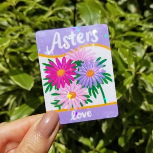 Aster Flowers Sticker 2