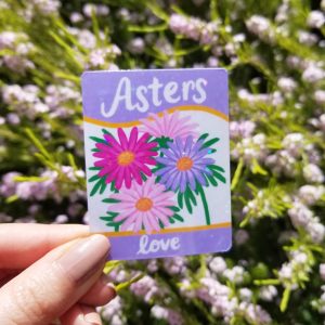 Aster Flowers Sticker