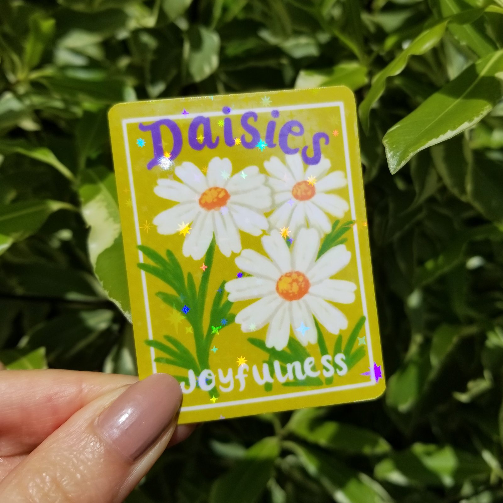 Daisy Flower Sticker