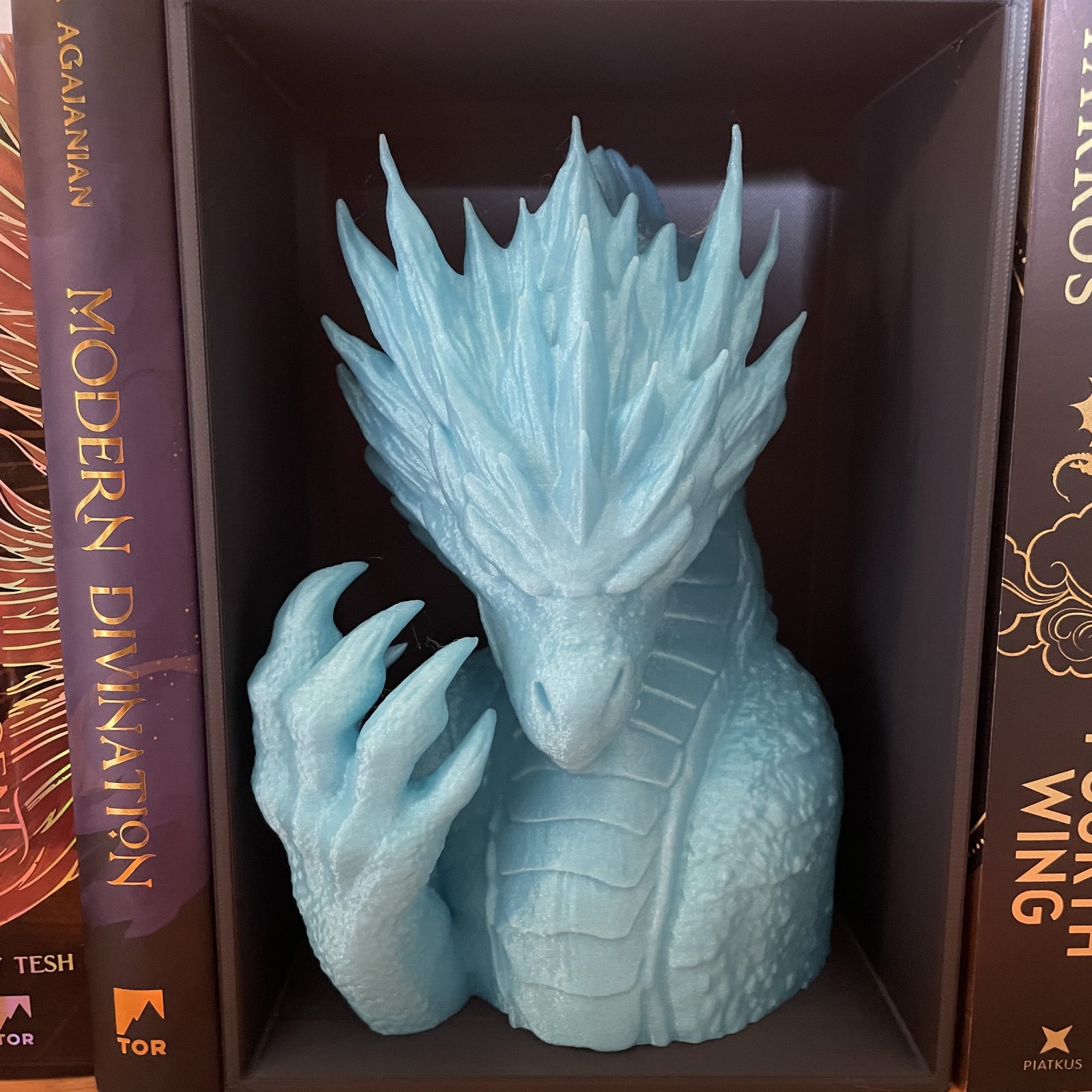 Frost Dragon Book Nook
