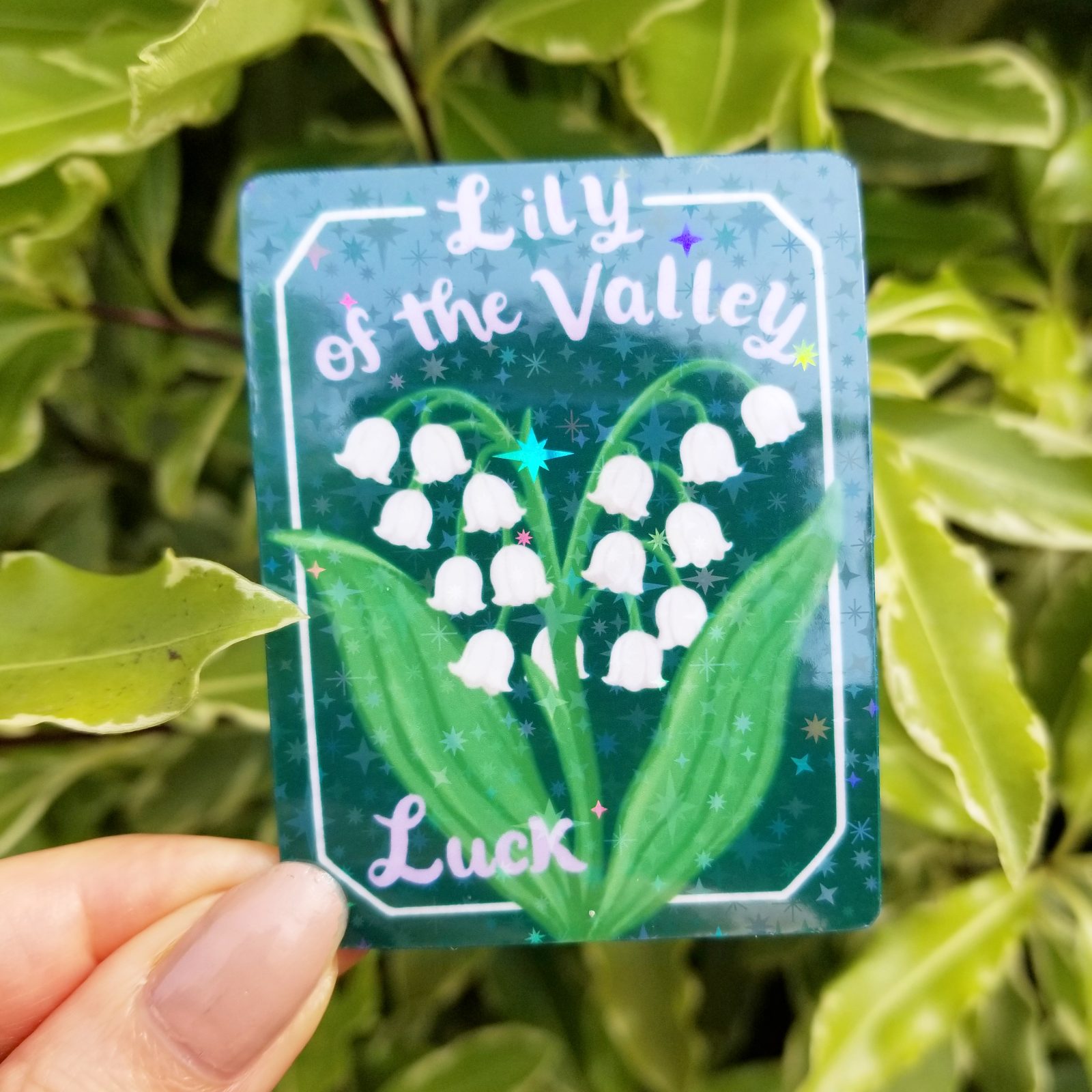 Lily of the Valley Sticker1