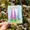 Lupins Flower Sticker