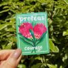 Protea Flower Sticker