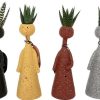 Bold Thinkers Succulents