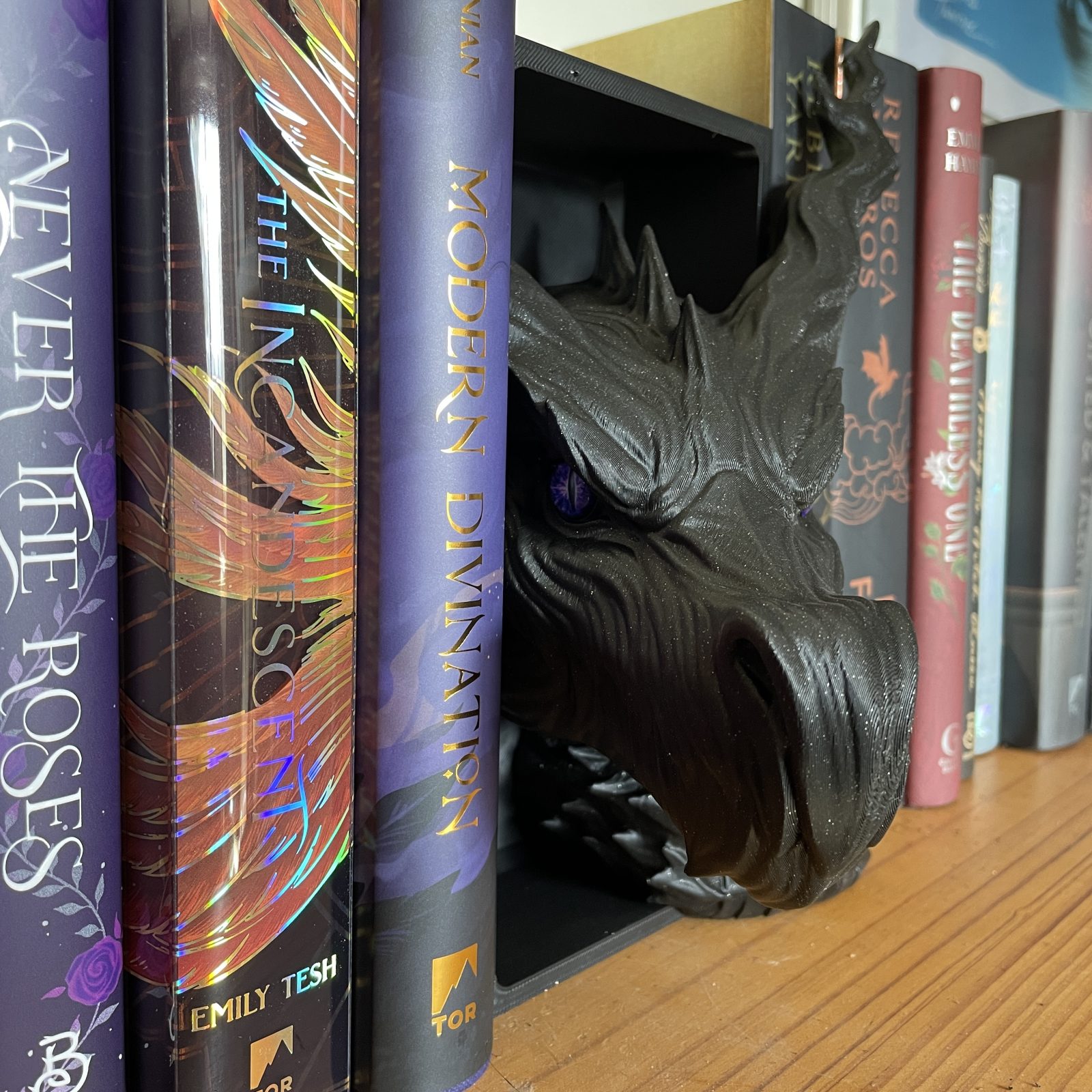 Shadow Dragon Book Nook - Image 3