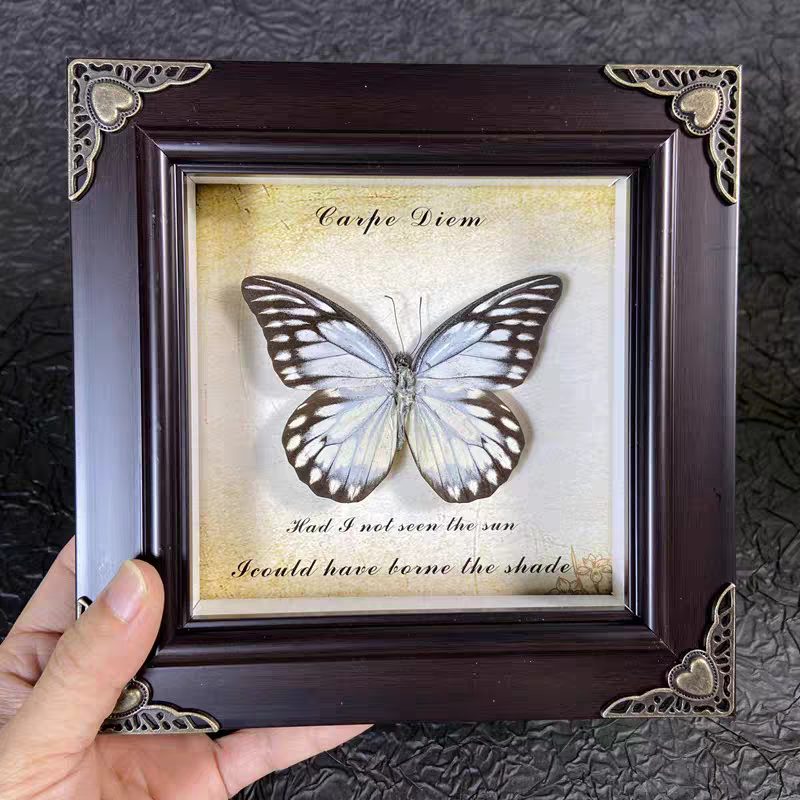 Mystery Steampunk Framed Butterfly - Image 3