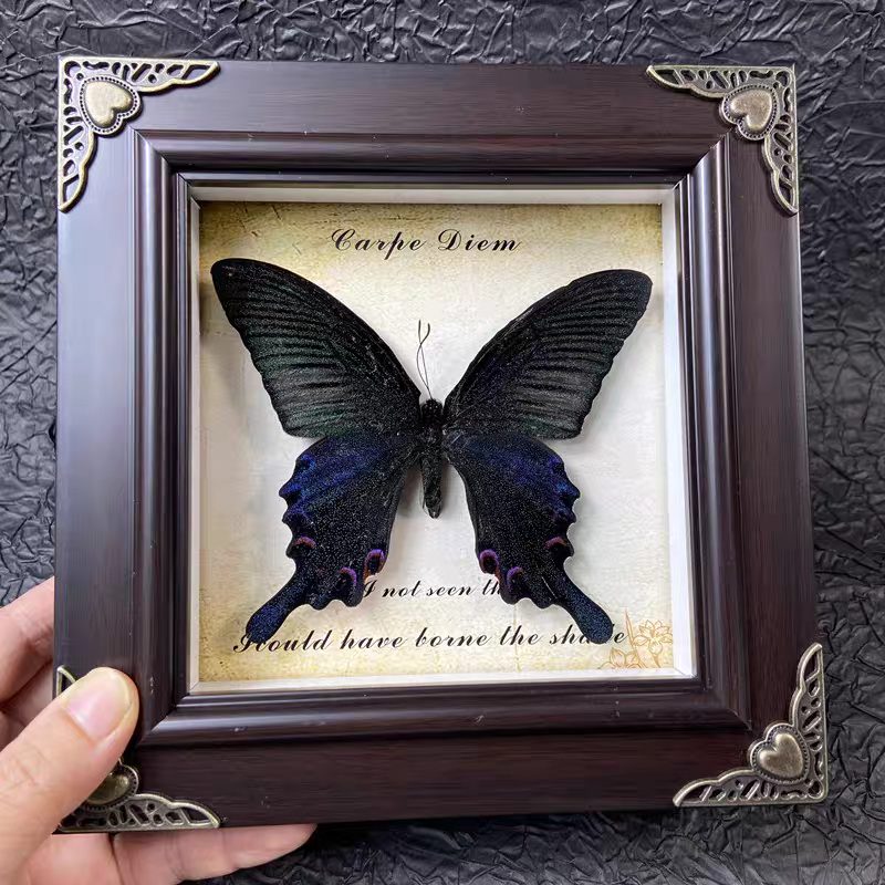 Mystery Steampunk Framed Butterfly - Image 2