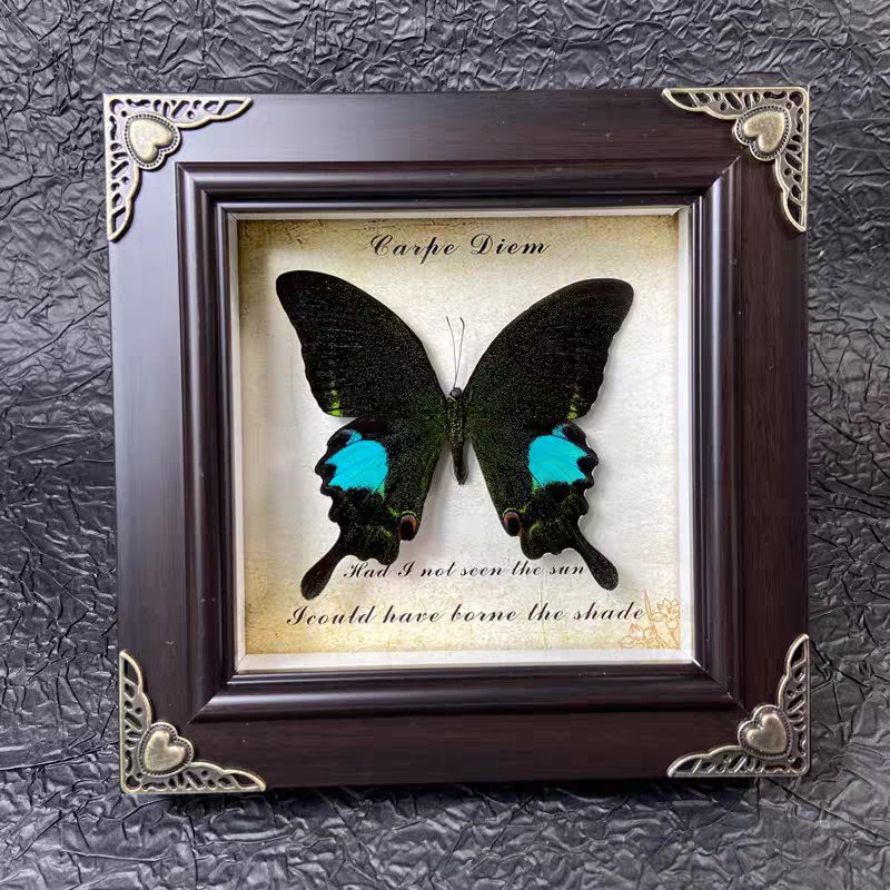 Mystery Steampunk Framed Butterfly - Image 5
