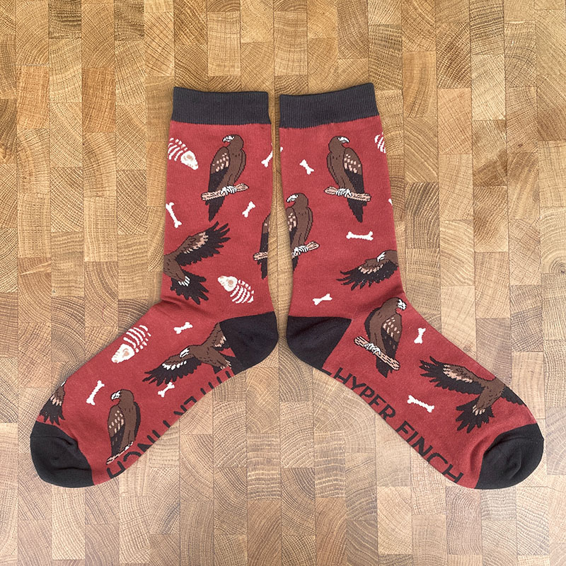 Wedge-tailed Eagle Socks (Red)