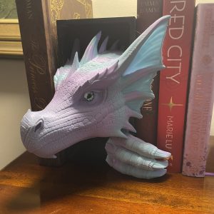 Sea Dragon Book Nook