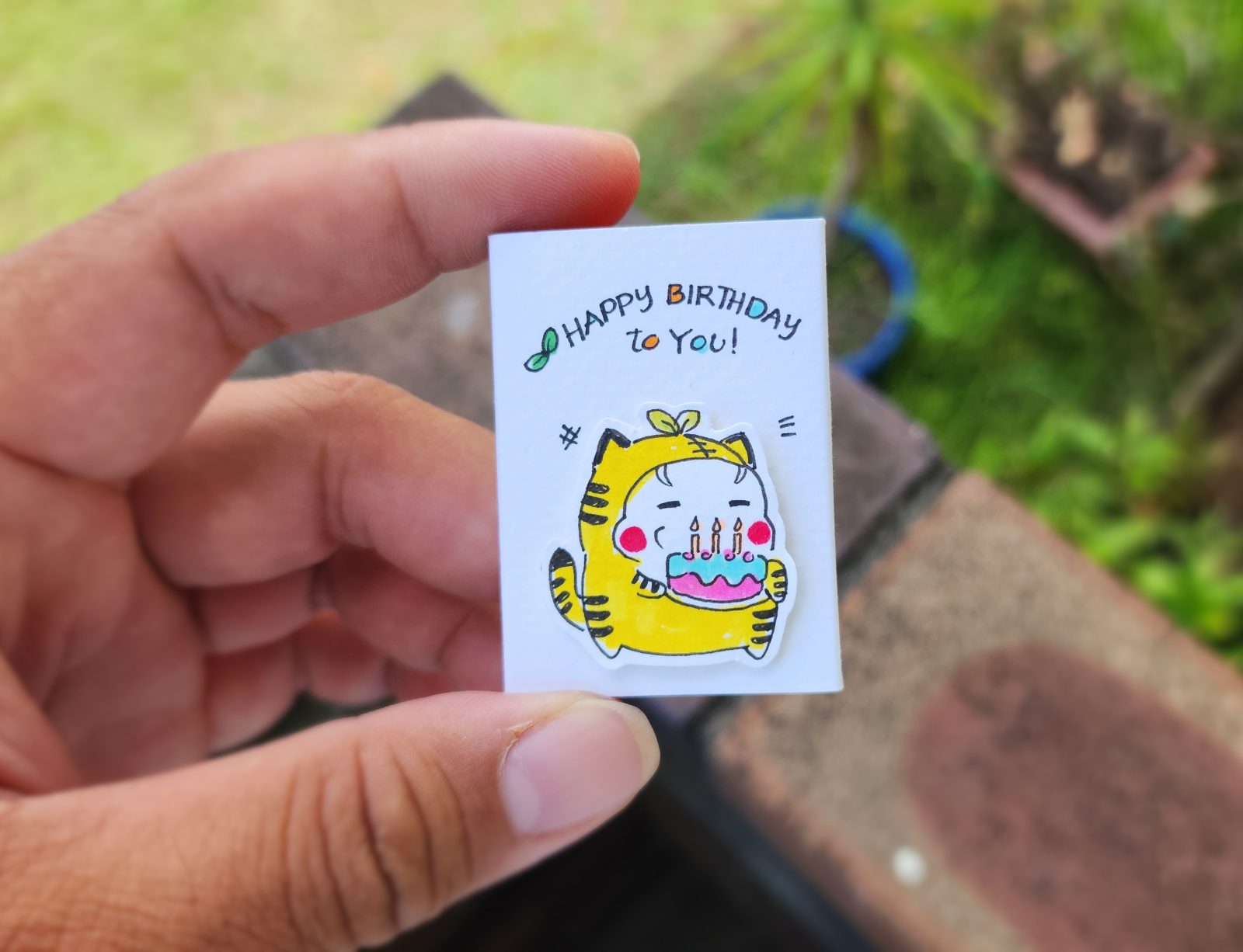 Birthday - Fat Cat