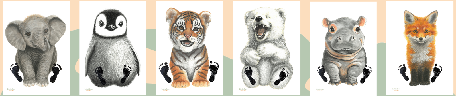 Littlefoot Prints Co