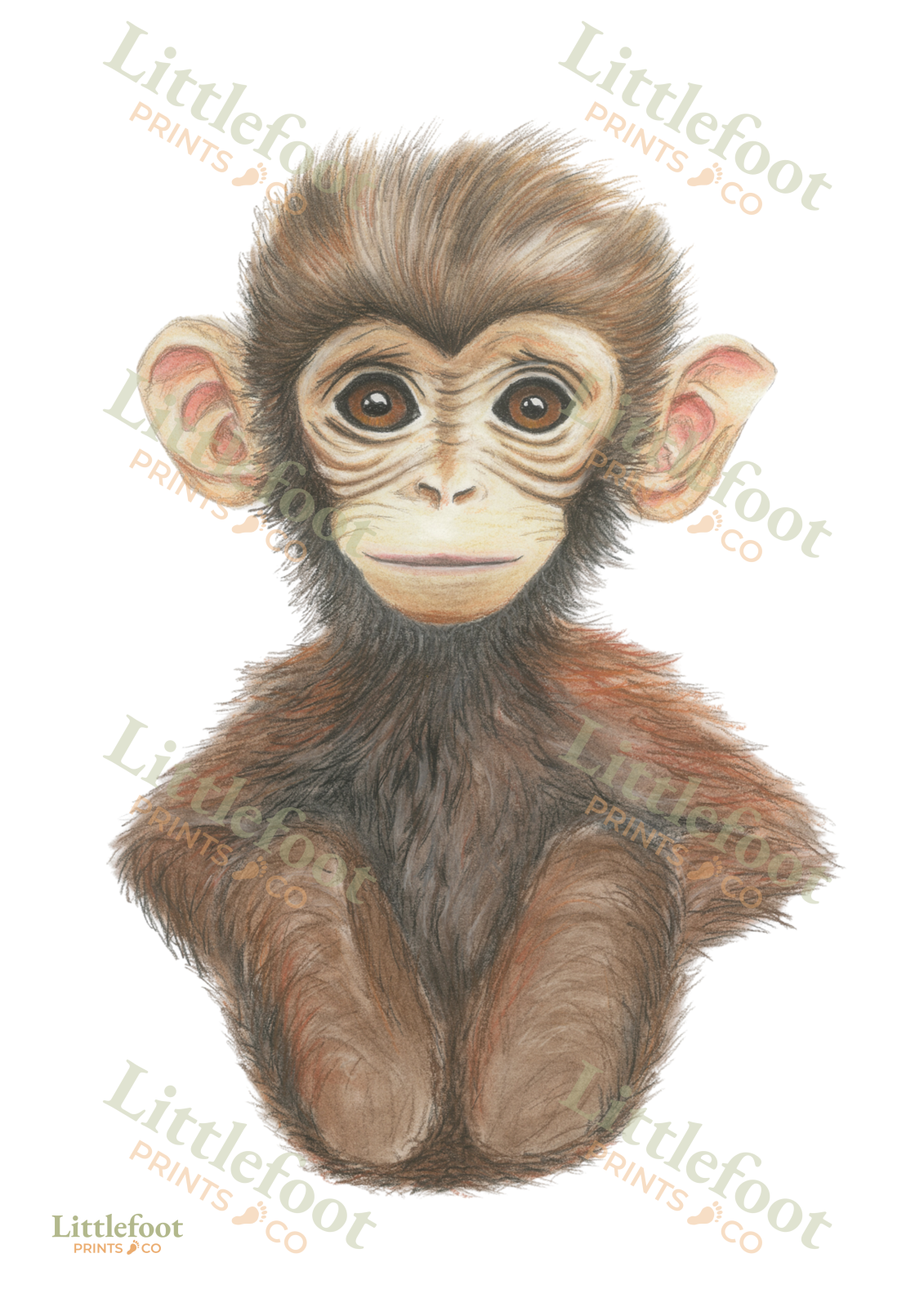 Monkey Paper or Canvas Print - Image 2