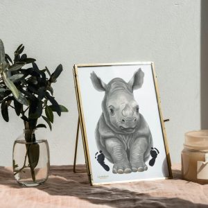 Rhino Paper or Canvas Print